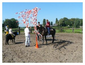 Foto van Paarden schriktraining