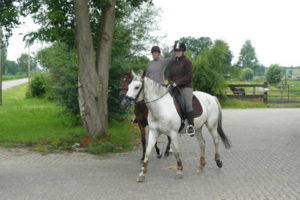 Foto van paarden buitenrijden